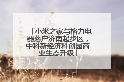小米之家与格力电器落户济南起步区，中科新经济科创园商业生态升级