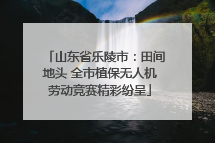 山东省乐陵市：田间地头 全市植保无人机劳动竞赛精彩纷呈