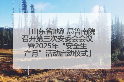 山东省地矿局鲁南院召开第三次安委会会议暨2025年“安全生产月”活动启动仪式