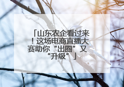 山东农企看过来！这场电商直播大赛助你“出圈”又“升级”