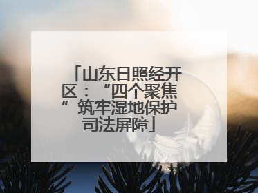 山东日照经开区：“四个聚焦”筑牢湿地保护司法屏障