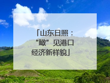 山东日照：“瞰”见港口经济新样貌
