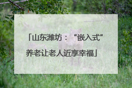 山东潍坊：“嵌入式”养老让老人近享幸福