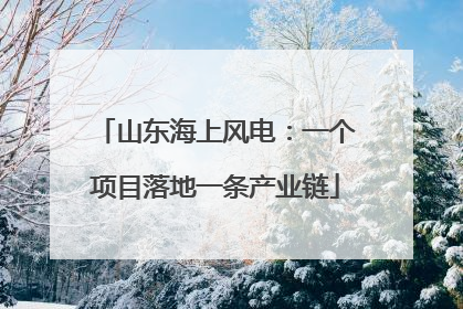 山东海上风电：一个项目落地一条产业链