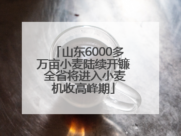 山东6000多万亩小麦陆续开镰 全省将进入小麦机收高峰期