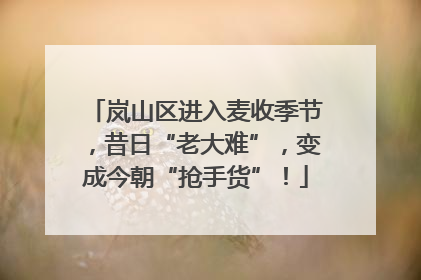 岚山区进入麦收季节，昔日“老大难”，变成今朝“抢手货”！