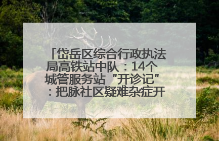 岱岳区综合行政执法局高铁站中队：14个城管服务站“开诊记”：把脉社区疑难杂症开出治理良方