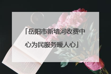 岳阳市新墙河收费中心为民服务暖人心