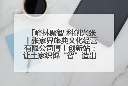 峰林聚智 科创兴张丨张家界旅典文化经营有限公司博士创新站：让土家织锦“智”造出非遗新传奇