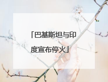 巴基斯坦与印度宣布停火