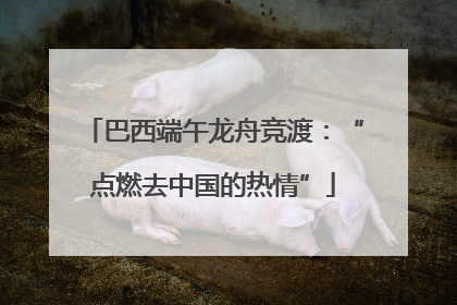巴西端午龙舟竞渡：“点燃去中国的热情”