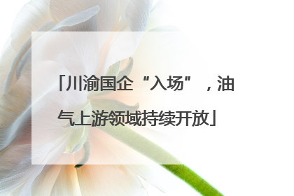 川渝国企“入场”，油气上游领域持续开放