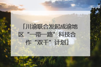 川渝联合发起成渝地区“一带一路”科技合作“双千”计划