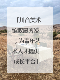 川音美术馆双展齐发，为青年艺术人才提供成长平台