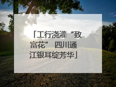 工行浇灌“致富花” 四川通江银耳绽芳华