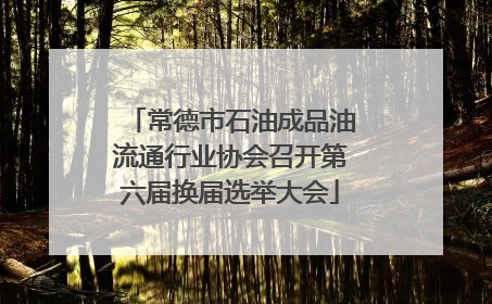 常德市石油成品油流通行业协会召开第六届换届选举大会