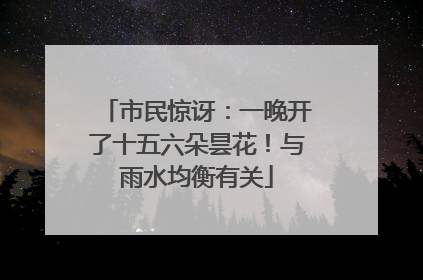 市民惊讶：一晚开了十五六朵昙花！与雨水均衡有关