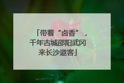 带着“卤香”，千年古城邵阳武冈来长沙邀客