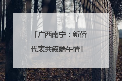 广西南宁：新侨代表共叙端午情