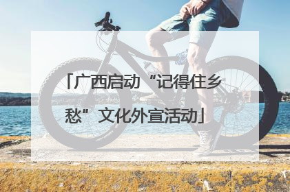 广西启动“记得住乡愁”文化外宣活动
