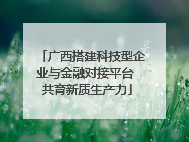 广西搭建科技型企业与金融对接平台 共育新质生产力