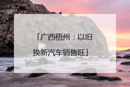 广西梧州：以旧换新汽车销售旺