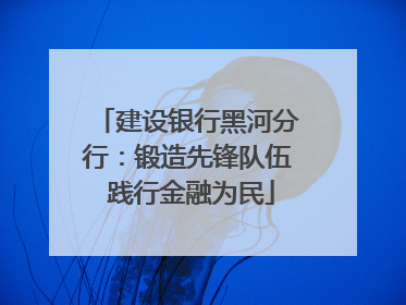 建设银行黑河分行：锻造先锋队伍 践行金融为民