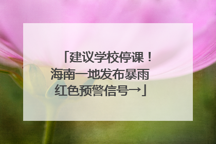 建议学校停课！海南一地发布暴雨红色预警信号→
