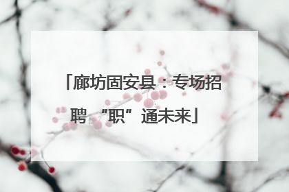 廊坊固安县：专场招聘 “职”通未来