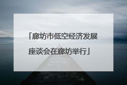 廊坊市低空经济发展座谈会在廊坊举行