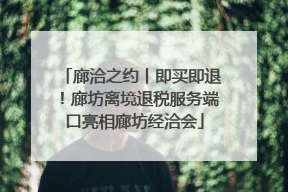 廊洽之约丨即买即退！廊坊离境退税服务端口亮相廊坊经洽会