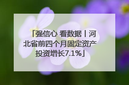 强信心 看数据丨河北省前四个月固定资产投资增长7.1%