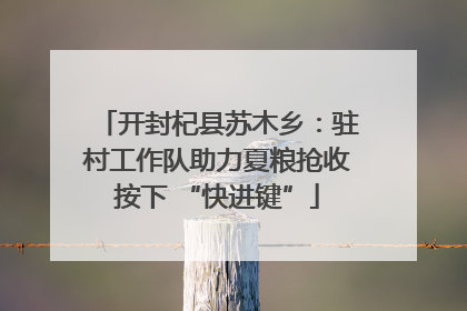 开封杞县苏木乡：驻村工作队助力夏粮抢收按下 “快进键”