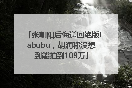 张朝阳后悔送回绝版Labubu，胡润称没想到能拍到108万