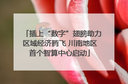 插上“数字”翅膀助力区域经济腾飞 川南地区首个智算中心启动