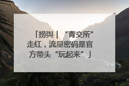 捞舆｜“青交所”走红，流量密码是官方带头“玩起来”