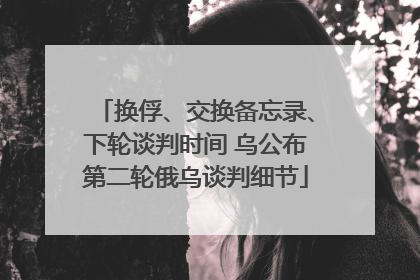换俘、交换备忘录、下轮谈判时间 乌公布第二轮俄乌谈判细节