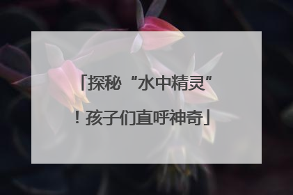 探秘“水中精灵”！孩子们直呼神奇