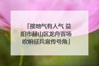 接地气有人气 益阳市赫山区龙舟赛场吹响征兵宣传号角