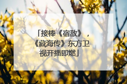 接棒《宿敌》，《藏海传》东方卫视开播即燃