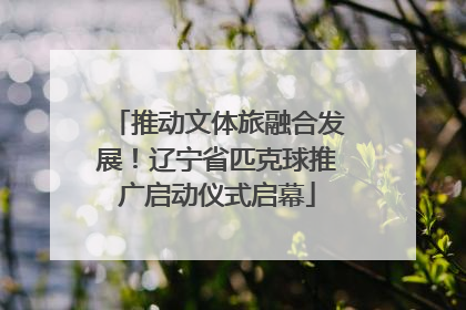 推动文体旅融合发展！辽宁省匹克球推广启动仪式启幕