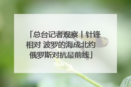 总台记者观察丨针锋相对 波罗的海成北约俄罗斯对抗最前线