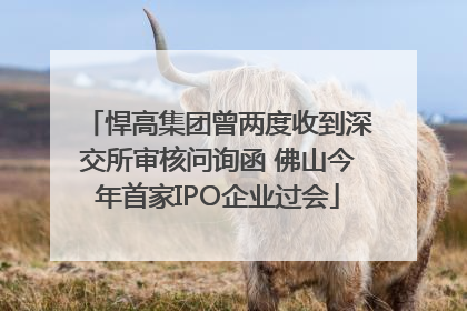 悍高集团曾两度收到深交所审核问询函 佛山今年首家IPO企业过会