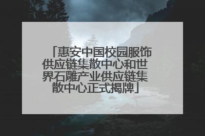 惠安中国校园服饰供应链集散中心和世界石雕产业供应链集散中心正式揭牌