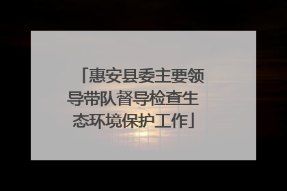 惠安县委主要领导带队督导检查生态环境保护工作