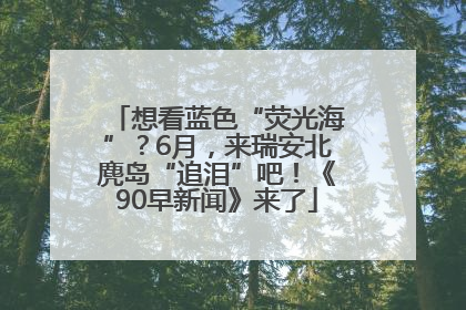 想看蓝色“荧光海”？6月，来瑞安北麂岛“追泪”吧！《90早新闻》来了