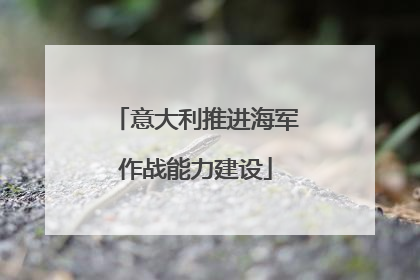 意大利推进海军作战能力建设