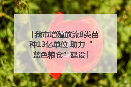 我市增殖放流8类苗种13亿单位 助力“蓝色粮仓”建设