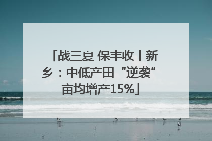 战三夏 保丰收丨新乡：中低产田“逆袭” 亩均增产15%