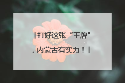打好这张“王牌”，内蒙古有实力！